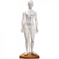 ACUPUNTURA 50 CM FEMININO TGD-0402